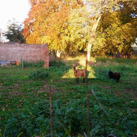 ホテル Le Jardin Des Ecureuils Demuin エクステリア 写真