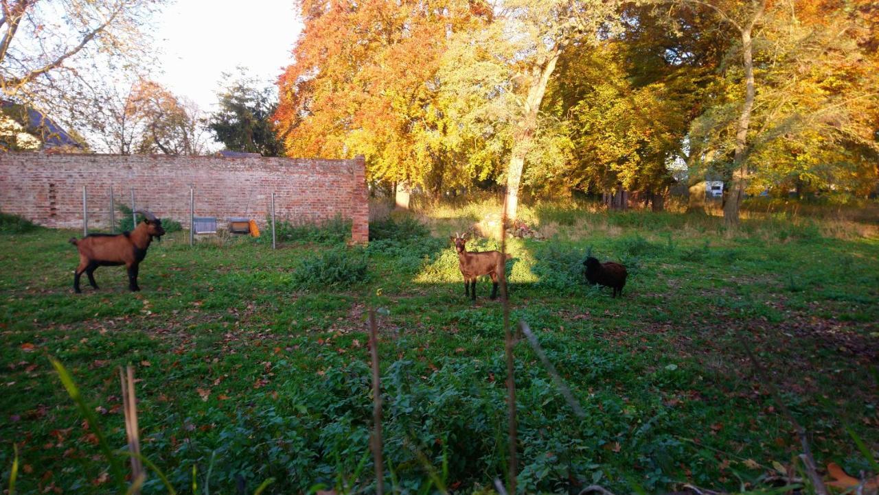 ホテル Le Jardin Des Ecureuils Demuin エクステリア 写真